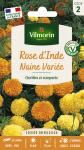 Fleurs - Rose d'Inde Naine Variée - PACKAGING_RECTO